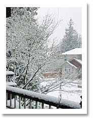 2005年度初雪
