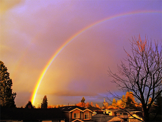 20121204_rainbow.jpg