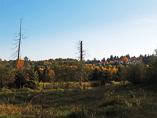 autumn04.jpg