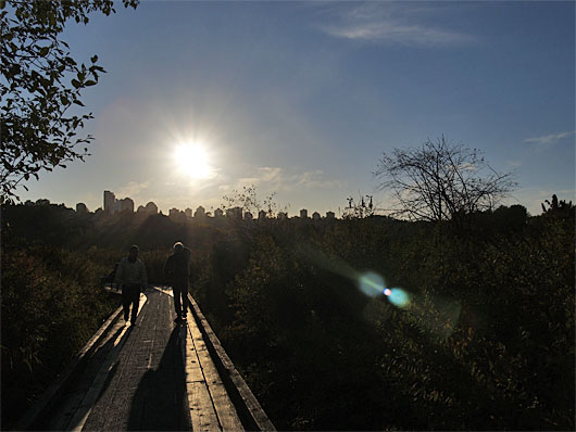 autumn11.jpg