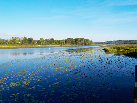 burnabylake04.jpg