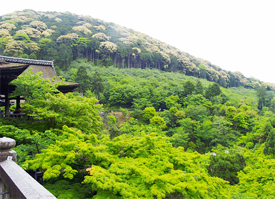 kiyomizu_mt.jpg