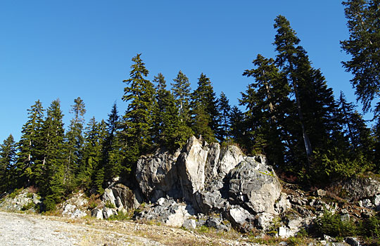 mtseymour02.jpg