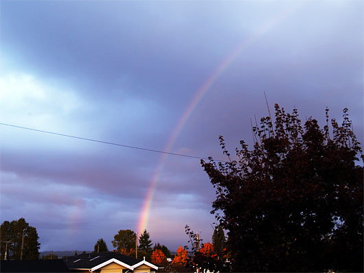 rainbow20081020.jpg