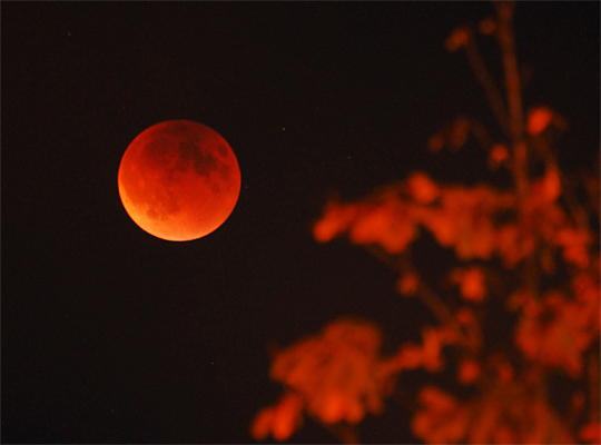 20150927_Supermoon_Lunar_Eclipse_01.jpg
