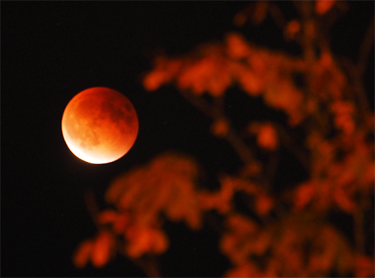 20150927_Supermoon_Lunar_Eclipse_02.jpg